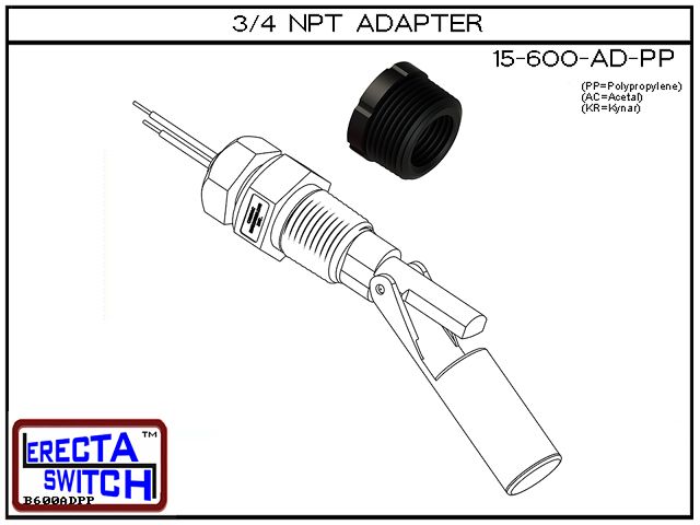 Catalog